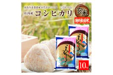 令和7年産【玄米】特別栽培米コシヒカリ　10kg(5kg×2袋)「農家直送」 KA SD0182