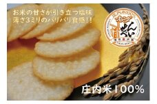 オランダせんべい　10袋入り　2箱セット SA0436