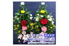 《定期便12ヵ月》　ご命日のお供え花　一対　Aタイプ SBT0012