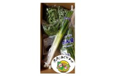 酒田市農業女子会が贈るおまかせお野菜セット SA0484