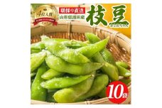 朝採り 枝豆 「まさおちゃん」　計3kg(300g×10袋)　農家直送 SA2558