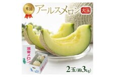 芳醇な香りと美しい網目 「秀品 アールスメロン」　約3kg(青肉 大玉/2玉入) SA2586