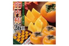 【先行予約】柿 種なし 約 5kg 26玉 庄内柿 贈答用仕様 果物 フルーツ 10月発送 11月発送 かき カキ 果物 果実 フルーツ フレッシュ 期間限定 ギフト 日本海 刈屋産 山形産 山形県産 木川果実店 山形 酒田 SB0660