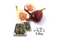 ハウス栽培 いちじく　約2.4kg(300g×4パック入 2箱) SA2543