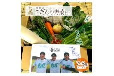 季節の野菜セット 7～8品 やさい 葉物 きのこ 根菜 季節 冷蔵 サラダ 煮物 旬 厳選 農家直送 自然栽培 栽培 安心 農園貞太郎 山形 酒田 SA0587