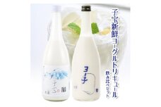 子宝　新鮮ヨーグルトリキュール飲み比べセット SA0615