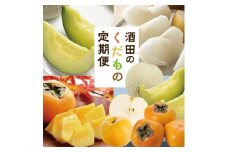 【3回定期便】酒田の果物専門店厳選　くだもの定期便2025 (浜王メロン、和梨、庄内柿) SE0346