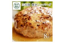 平田牧場　日本の米育ち三元豚焼きハンバーグ　8個 SA0715