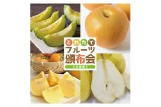 【4回定期便】とれたて！フルーツ頒布会2025 (アンデスメロン、和梨、庄内柿、ラ・フランス) SF0235