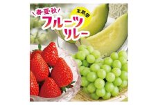 【3回定期便】春・夏・秋 フルーツリレー2025 (イチゴ・アンデスメロン・シャインマスカット) SE0382