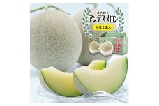 酒田の果物専門店厳選　庄内砂丘 アンデスメロン大玉　3kg以上(2玉入) SA2561