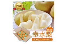 酒田産【特選】幸水梨　約3kg(7～9玉入) SA2637