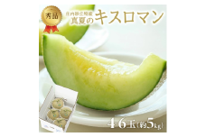 庄内砂丘特産 「秀品 真夏のキスロマン」　約5kg(青肉4～6玉入) SA2584