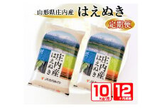 【12回定期便】はえぬき　10kg×12回(計120kg) JM SU0004