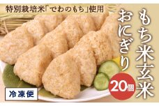 もち米 玄米おにぎり プレーン20個 SA0876