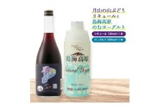 酒田の酒屋厳選　月山の山ぶどうリキュールと鳥海高原のむヨーグルトセット SA1906