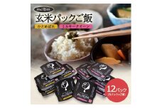 【玄米パックご飯】特別栽培米ひとめぼれ、ミルキークイーン『氷河米』 計12パック(6パック×2種) AG SA2708