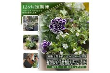 【12回定期便】植物と花を育てるキットの定期便「植物の寄せ植えキット スクエア12」 SL0232