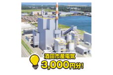 酒田産電気　3,000円相当分 SED0001