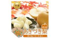 酒田産【特選】あきづき梨　約3kg(5～9玉入) SA2640
