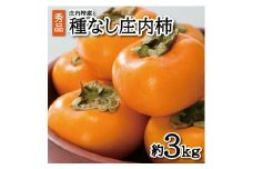 酒田の秋の味覚　あまくて美味しい庄内柿(種なし柿) 秀品　約3kg(18玉以上) SA2588