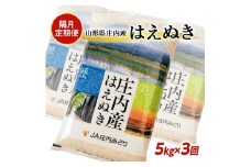 【隔月3回定期便】はえぬき　5kg×3回(計15kg) JM SD0122