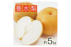 酒田の果物専門店厳選　刈屋産 豊水梨　約5kg(10～16玉入) SC0585