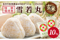 令和7年産【玄米】特別栽培米雪若丸　10kg(5kg×2袋)「農家直送」 KA SC0581