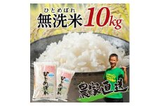 【先行予約】無洗米 ひとめぼれ 令和7年産 10kg 5kg×2袋 10月上旬発送 米 新米 白米 ご飯 ごはん おにぎり お米 弁当 山形県産 酒田市産  農家直送 庄内 おすすめ 平良農園 山形 酒田 SE0402