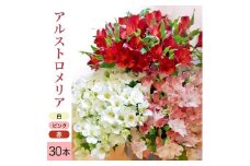 アルストロメリアの花束　計30本(白色、ピンク色、赤色/各10本) SB0674