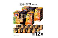 花王バブ 至福の柑橘めぐり浴　12錠入×12箱 SC0525