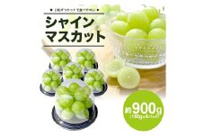シャインマスカット　約900g(150g×6パック) SA2544