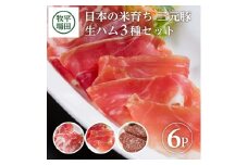 三元豚 生ハム 3種セット 6パック 計260g 豚肉 生ハムコッパ ジャーマンサラミ ブランド豚 銘柄豚 ハム サラミ 豚 肉 おつまみ ワイン モモ肉 肩ロース 小分け 冷蔵 おすすめ ギフト 贈り物 贈答 平田牧場 山形 酒田 SA1336