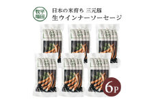 生ウインナー ソーセージ 6パック 840g 日本の米育ち 三元豚 ブランド豚 豚肉 加工肉 ウインナー 惣菜 おかず お弁当 朝食 ジューシー  冷凍 贈り物 贈答 ギフト 平牧 平田牧場 山形 酒田 SA1339