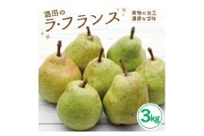 酒田のラ・フランス　約3kg SA2613