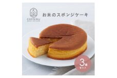 お米のスポンジケーキ　5号×3個 SB0721