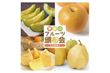 【4回定期便】季節のフルーツ頒布会2025(アンデスメロン、和梨、庄内柿、洋梨〔シルバーベル〕) SG0056