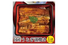国産うなぎ蒲焼　1人前 SA1611