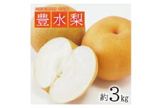 【先行予約】梨 約3kg 7~9玉 豊水梨 9月発送 10月発送  果物 果実 なし ナシ フルーツ フレッシュ 受賞 甘い 濃厚 酸味 期間限定 贈答 ギフト 日本海 刈屋産 山形産 山形県産 木川果実店 山形 酒田 SA2564