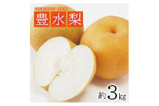 【先行予約】梨 約3kg 7~9玉 豊水梨 9月発送 10月発送  果物 果実 なし ナシ フルーツ フレッシュ 受賞 甘い 濃厚 酸味 期間限定 贈答 ギフト 日本海 刈屋産 山形産 山形県産 木川果実店 山形 酒田 SA2564