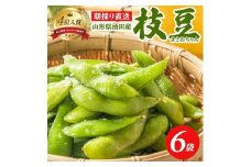 朝採り 枝豆 「まさおちゃん」　計1.8kg(300g×6袋)　農家直送 SZ0264