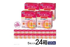 めぐりズム 蒸気の温熱シート【下着の内側面に貼るタイプ】　120枚(5枚入×24箱) SF0220