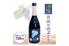 酒田の酒屋厳選　子宝リキュール　月山の山ぶどう　720ml×1本 SA1717