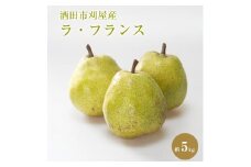 酒田の美味しいラ・フランス(洋梨) 秀品　約5kg(12～18玉入) SB0670