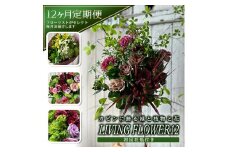 【12回定期便】カビンに飾る緑と枝物と花 「LIVING FLOWER 12」 SL0234