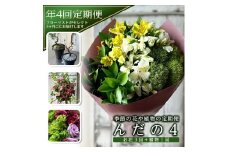 【4回定期便】「季節の花や植物の定期便 んだの４」 SL0220