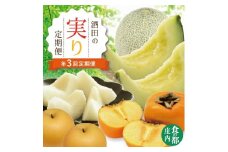 【3回定期便】酒田の実り定期便2025 (アンデスメロン、刈屋梨、庄内柿) SD0131