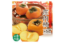 柿 種なし 約5kg 25～31玉入 L～4Lサイズ 庄内柿 柿 かき 先行予約 予約受付 種なし柿 甘い柿 フルーツ くだもの デザート スイーツ 果物 人気 おすすめ 元青果 山形 酒田 SA2578