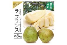 有袋栽培 ラ・フランス　約3kg(7～10玉入) 化粧箱入 SA2579