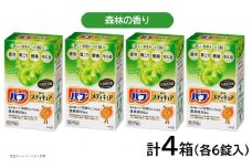 花王バブ メディキュア 森林の香り 6錠入×4箱 SA2386